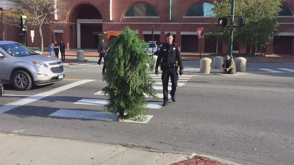 В США арестовали \"человека-дерево\". ФОТО