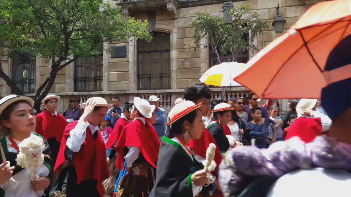 Desfile Estudiantil Independencia Cuenca Colegio Cesar Desfile