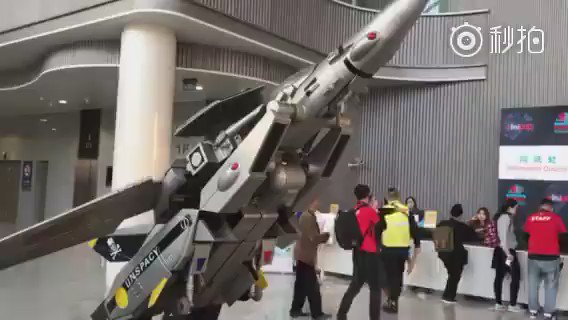 なにこの変形する巨大バルキリー