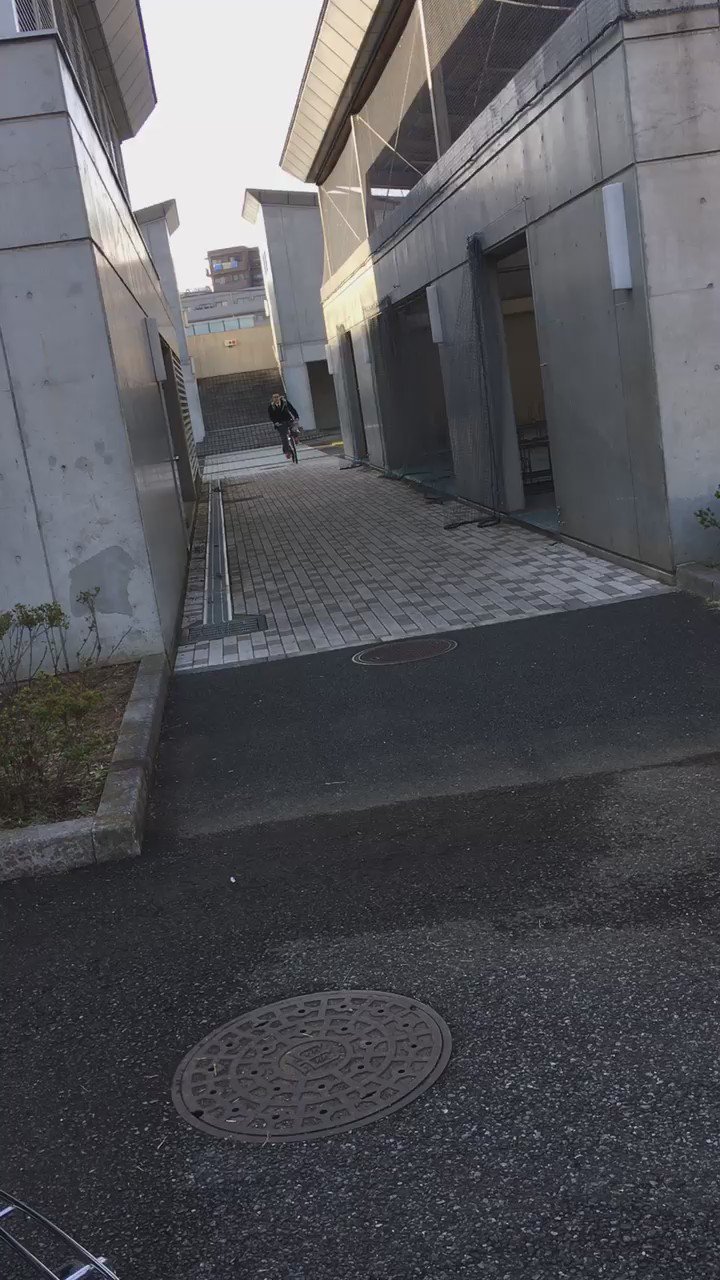 幽霊自転車選手権 ゴリラーマン 面白そう