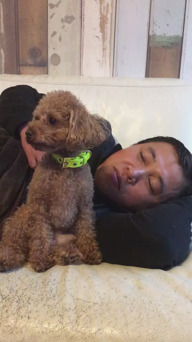 スギちゃんちのプチ 8 5水曜日のダウンタウン出たよ 犬がテンションあがる魔法の言葉 Sanpo