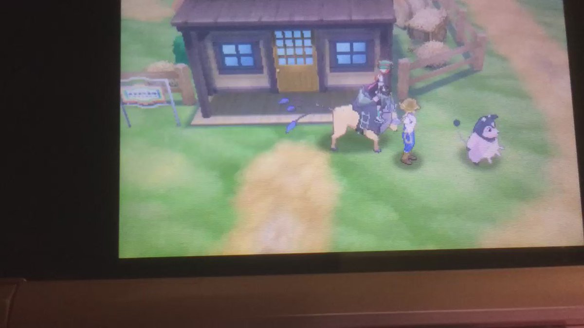 ポケモンサンムーン ケンタロスの突進孵化を改良してみた 最適ルートはこれだ 爆newゲーム速報