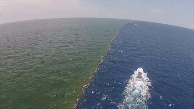 川の水と海水の合流地点がすごい？何故か混ざらないwww