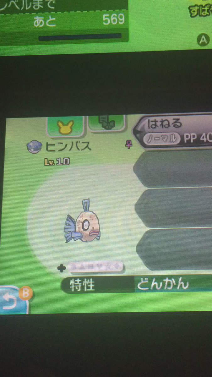 ポケモントレーナーテツ Bttqn Twitter