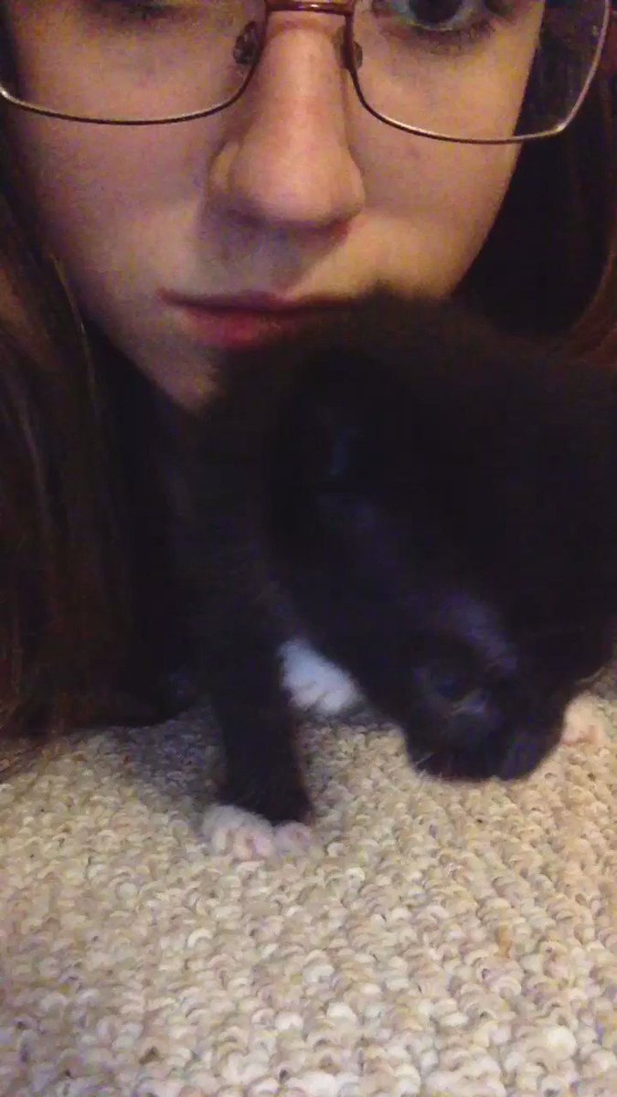 Baby Cooper at 8 weeks. #BroCat