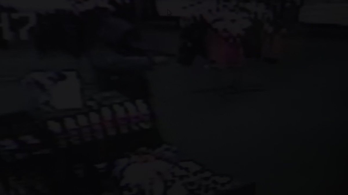 Adult toy store employees fight off armed robber by throwing dildos at him