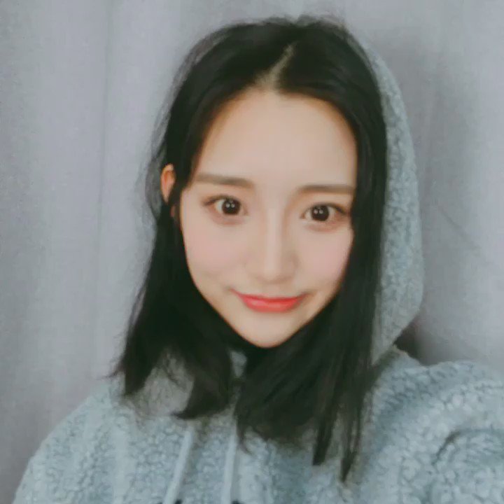 트위터, twitter - 딸플릭스