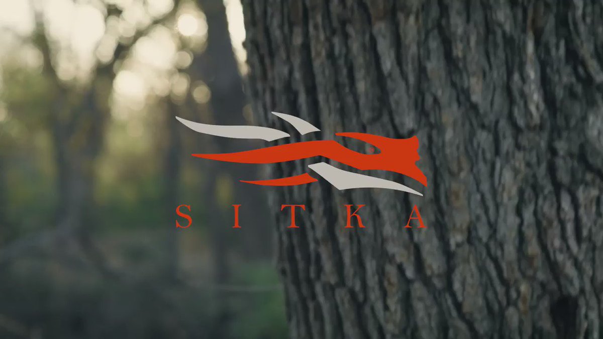 Update more than 77 sitka wallpaper super hot - in.coedo.com.vn