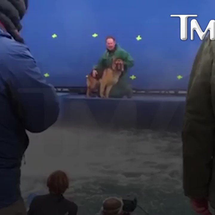 a dogs purpose drowning a dogs purpose drowning