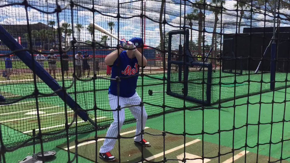 The only thing that can interrupt BP...The best fans in baseball. ⚾️☀️🌴 #Mets https://t.co/z7IC9EPUfD