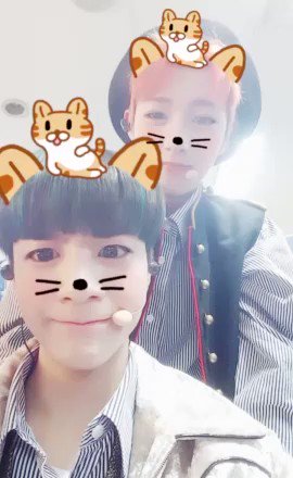 RT @B0NGSIKSEOLNAL: anyways here's jenren cats bc its international cat day
https://t.co/SL5ZAZSlA1