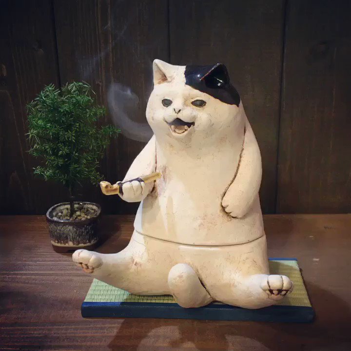 @Zakkaya_Oukan's video Tweet