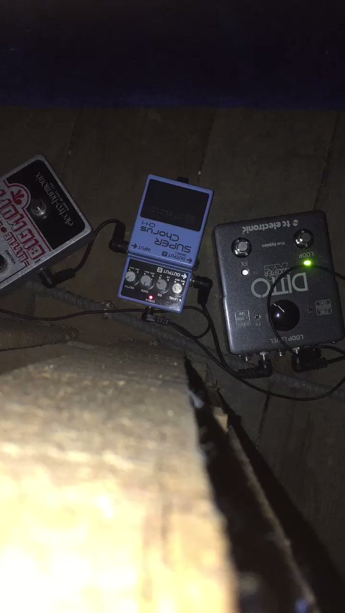 Real Estate, band (realestateband) Twitter