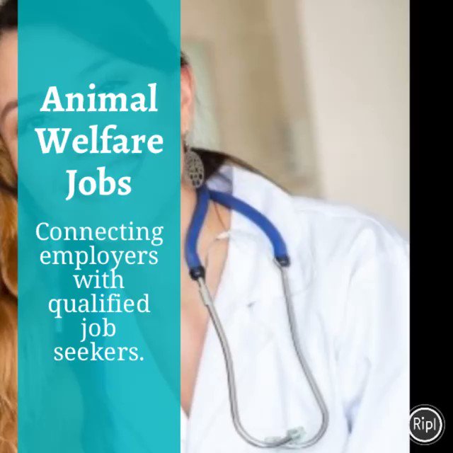Animal Welfare Jobs (@AnimalWellJobs) / Twitter Animal Welfare Jobs (@AnimalWellJobs) / Twitter