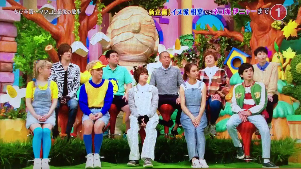 志村どうぶつ園 17年4月8日 土 ツイ速まとめ 志村どうぶつ園 17年4月8日 土 ツイ速まとめ