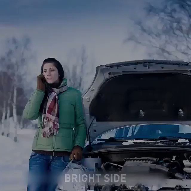 의 미디어: The natural cycle of kindness.
#brightside https://t.co/azVgYbFMc2 의 미디어: The natural cycle of kindness.
#brightside https://t.co/azVgYbFMc2