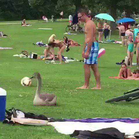 When you are desperate to play football but all your friends are busy... c FootballVines