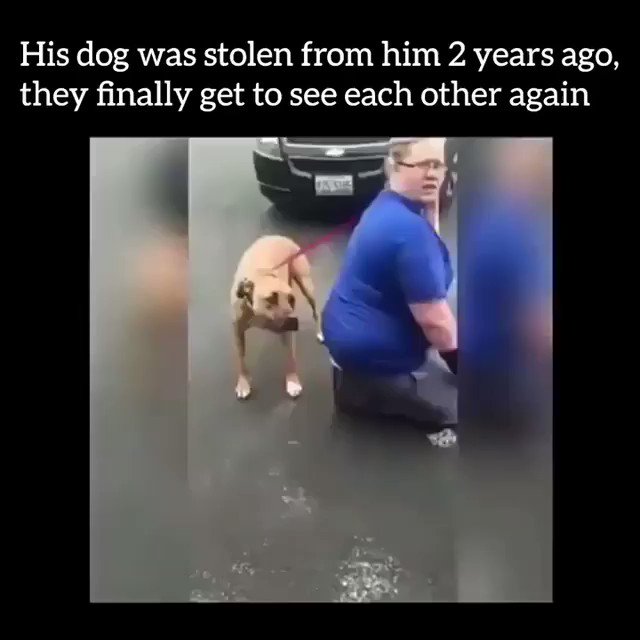 https://pbs.twimg.com/ext_tw_video_thumb/855821113124954118/pu/img/A-IxsRtxxKCJS9-U.jpg:small