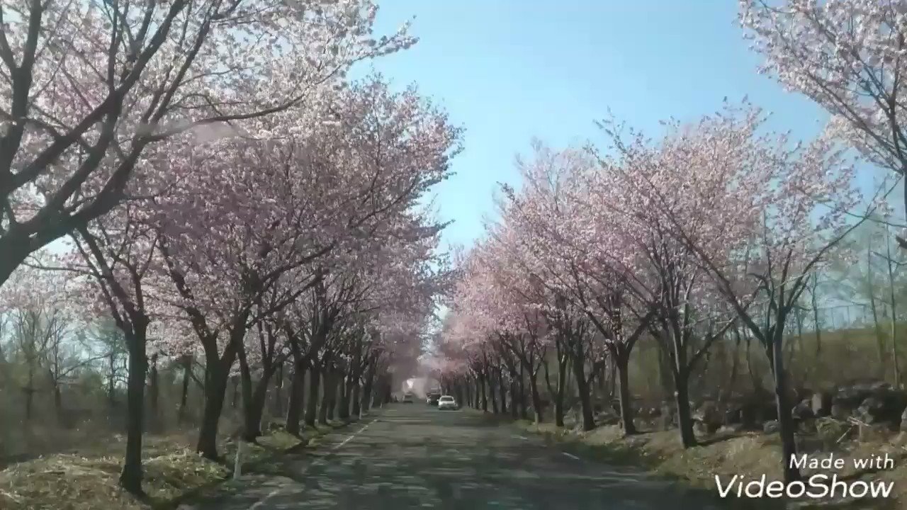 嶽きみシェイク Twitter Search Twitter