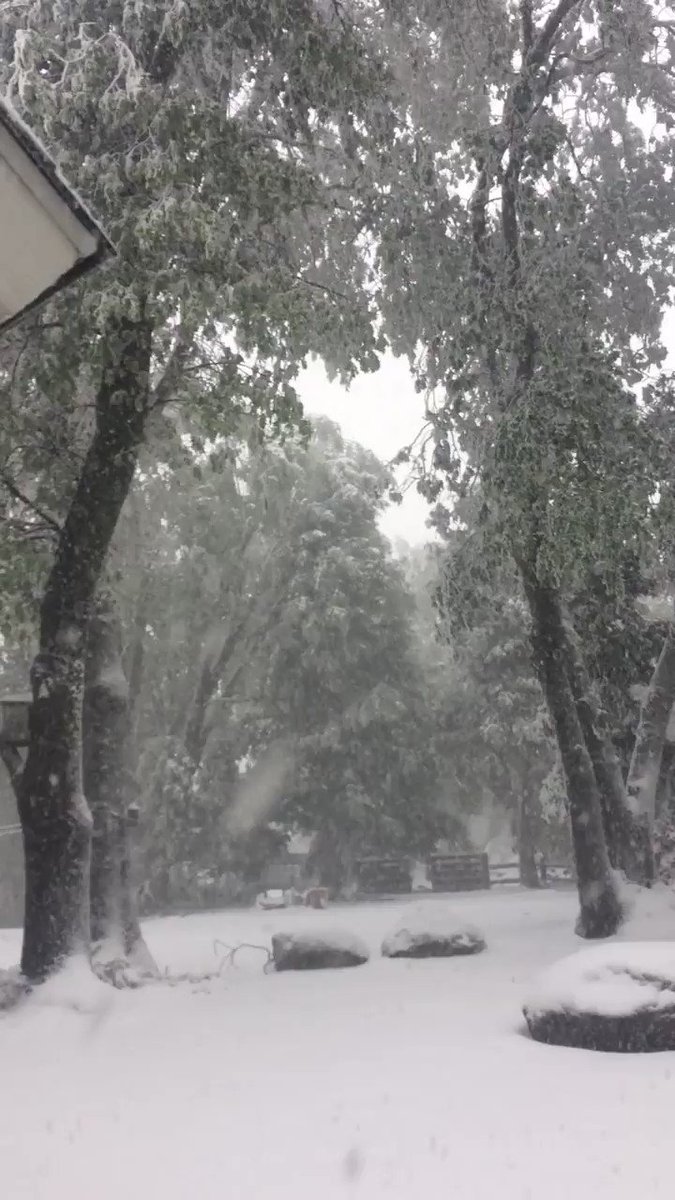 It's snowing on Palomar Mountain! (Courtesy of Jay) Send us your photos