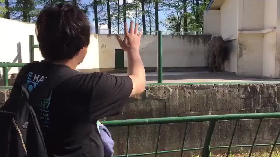 ゾウも煽れます