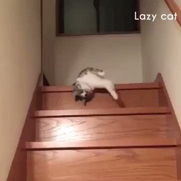 CCTV on Twitter: CCTV on Twitter: