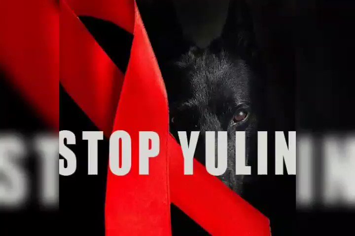 Hell on earth for innocent souls 💔😢 #YuLin festival must be ended! 💔🐶💔 #China #StopYuLinNow #StopYuLinForever ❌⚠