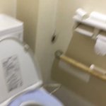 ゾワゾワする!夏には気をつけるべき害虫の進入w