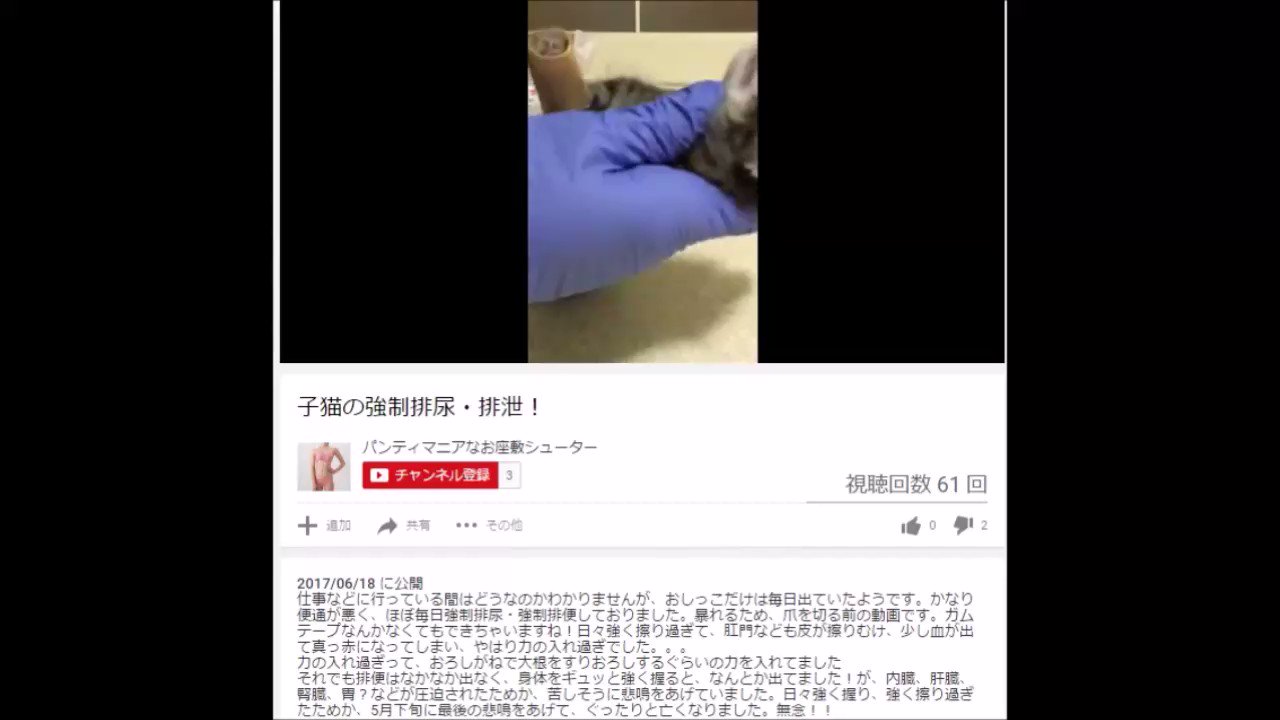 パンティーマニア 猫をいじめて何匹も殺したクズがいます。まだ逮捕されてません。 警察が本気出せば逮捕できるはずなのに。  #世界猫の日 #猫の日 #猫 #ねこ #動物愛護団体 #パンティマニアなお座敷シューター #パンティーマニアなお座敷シューター #YouTube ...