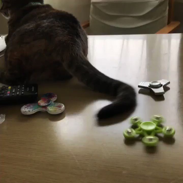 猫は使いこなし 犬は怯える ペットとハンドスピナーのコラボレーションがかわいい Togetter