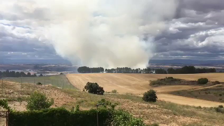 El video de Twitter está cargando