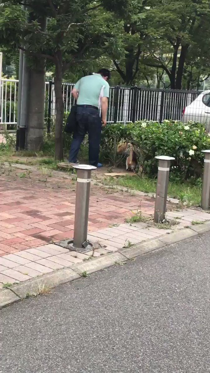 ガッコム安全ナビ ガッコム安全ナビ