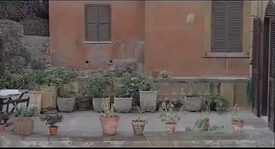 Happy Birthday Nanni Moretti  