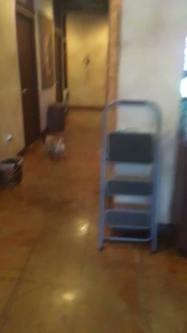Earlier today when I got dissed by Bug the Pug??❤️ https://t.co/ts6D4oJ2qi