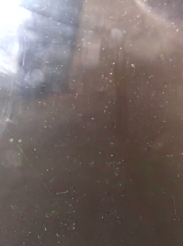 Happy birthday James Forrest, sorry about bad vottage 4  9  