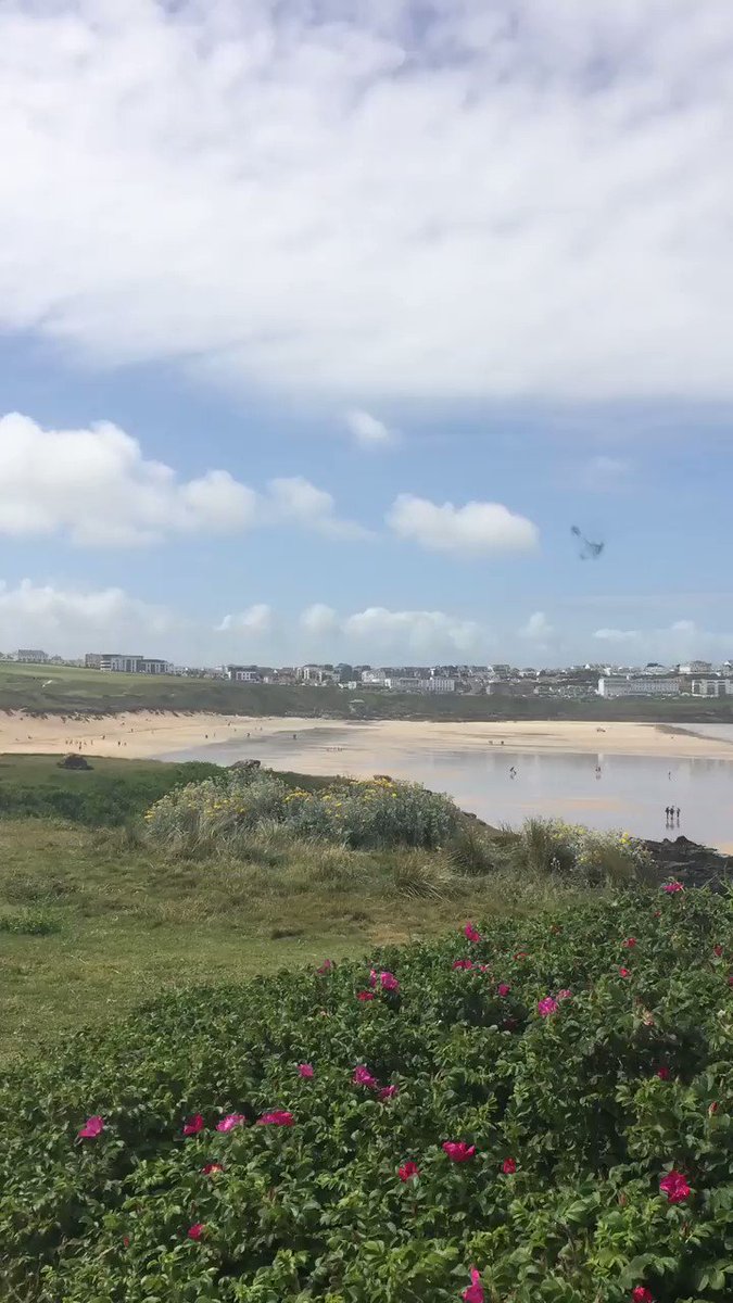  bahnte sich in den vergangenen Tagen ein eigenartiges Ph Phänomen über Cornwall: Insekten? Vogelschwarm? UFO?