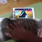 最近のスマホゲーcmって肝心のゲーム内容が分からないよね という話に共感が集まる 激レア って誰 ってなる ゲーム性は不要 Togetter 最近のスマホゲーcmって肝心のゲーム内容が分からないよね という話に共感が集まる 激レア って誰 ってなる ゲーム性は不要 Togetter