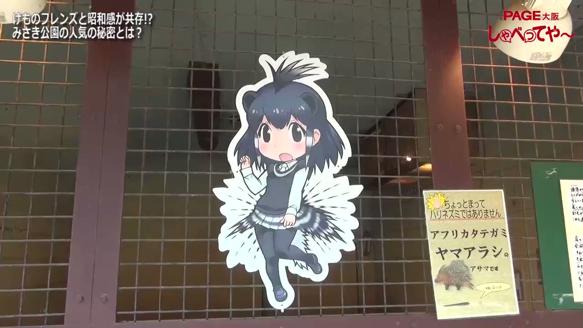 けものフレンズと昭和感が共存 みさき公園が人気の理由とは けものフレンズ みさき公園 遊園地 動物園 コラボ The Page ザ ページ Scoopnest けものフレンズと昭和感が共存 みさき公園が人気の理由とは けものフレンズ みさき公園 遊園地 動物園 コラボ The Page ザ ページ Scoopnest