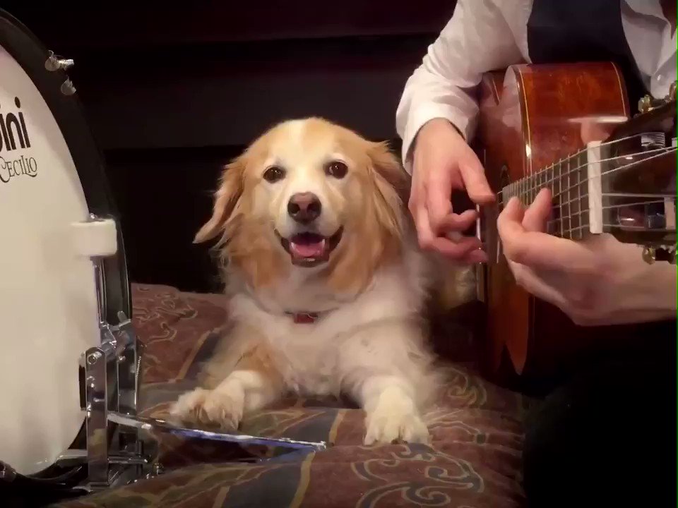 Massimo (@Rainmaker1973) on X