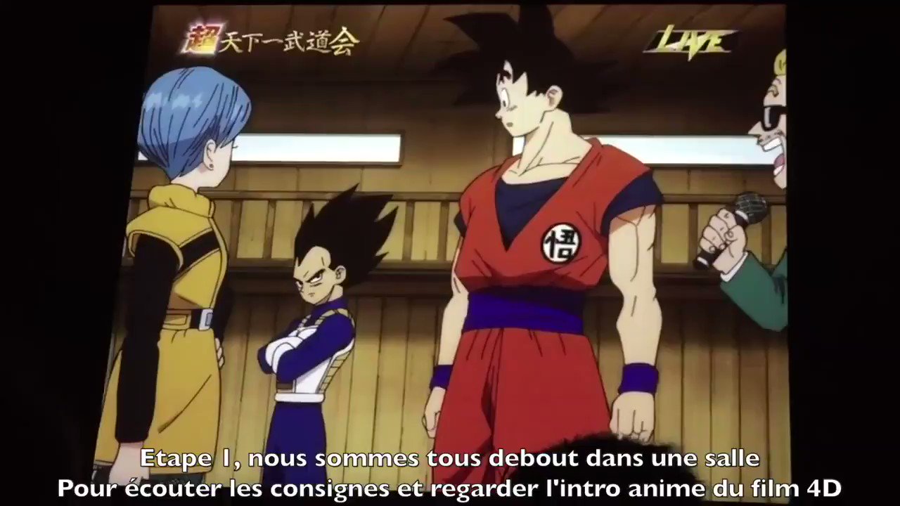Dragon Ball Z: The Real 4-D