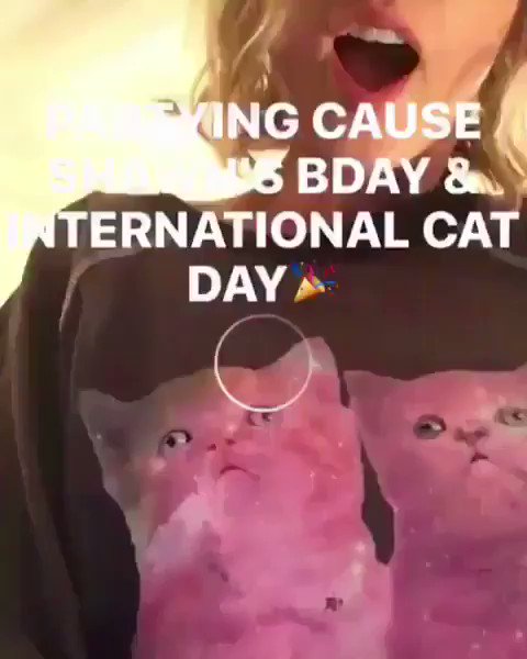 Happy Birthday Shawn Mendes! & Happy International Cat Day! 