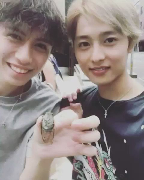 ゆみちぃ 平尾優美花 の旦那は花井陽で元芸能人 経歴や顔画像も ぴかコレ