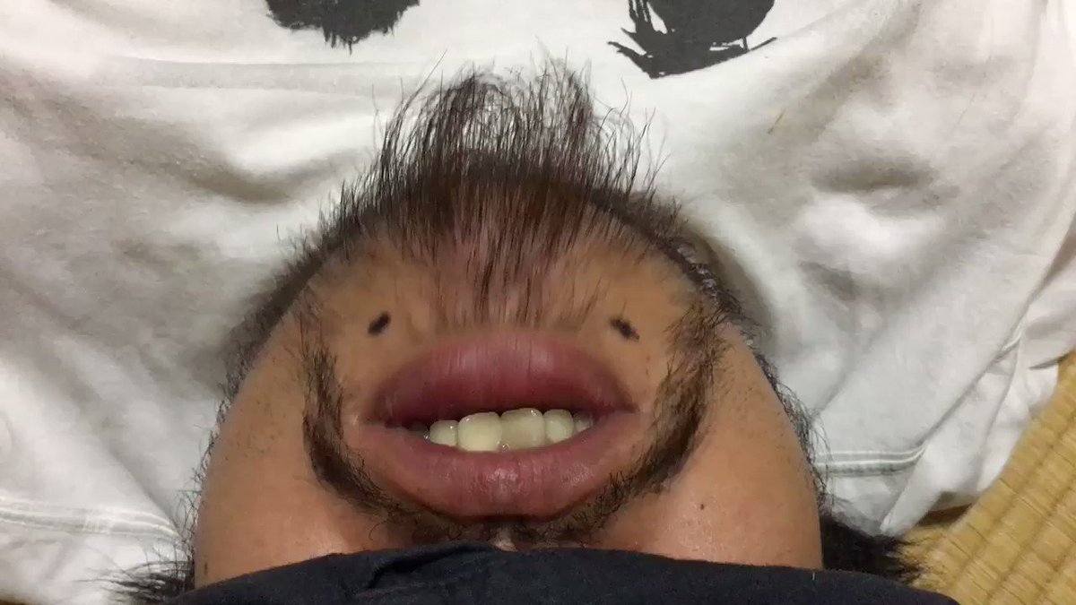 顔を逆から見て 目をつけるとなんだか新しい生き物になるなんて不思議 話題の画像プラス 顔を逆から見て 目をつけるとなんだか新しい生き物になるなんて不思議 話題の画像プラス