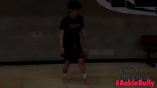 Dribble2much Ankle Bully