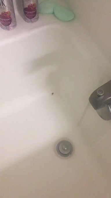 I was recording a video of me killing a spider just now & my bathroom lights immediately turned off wtf
