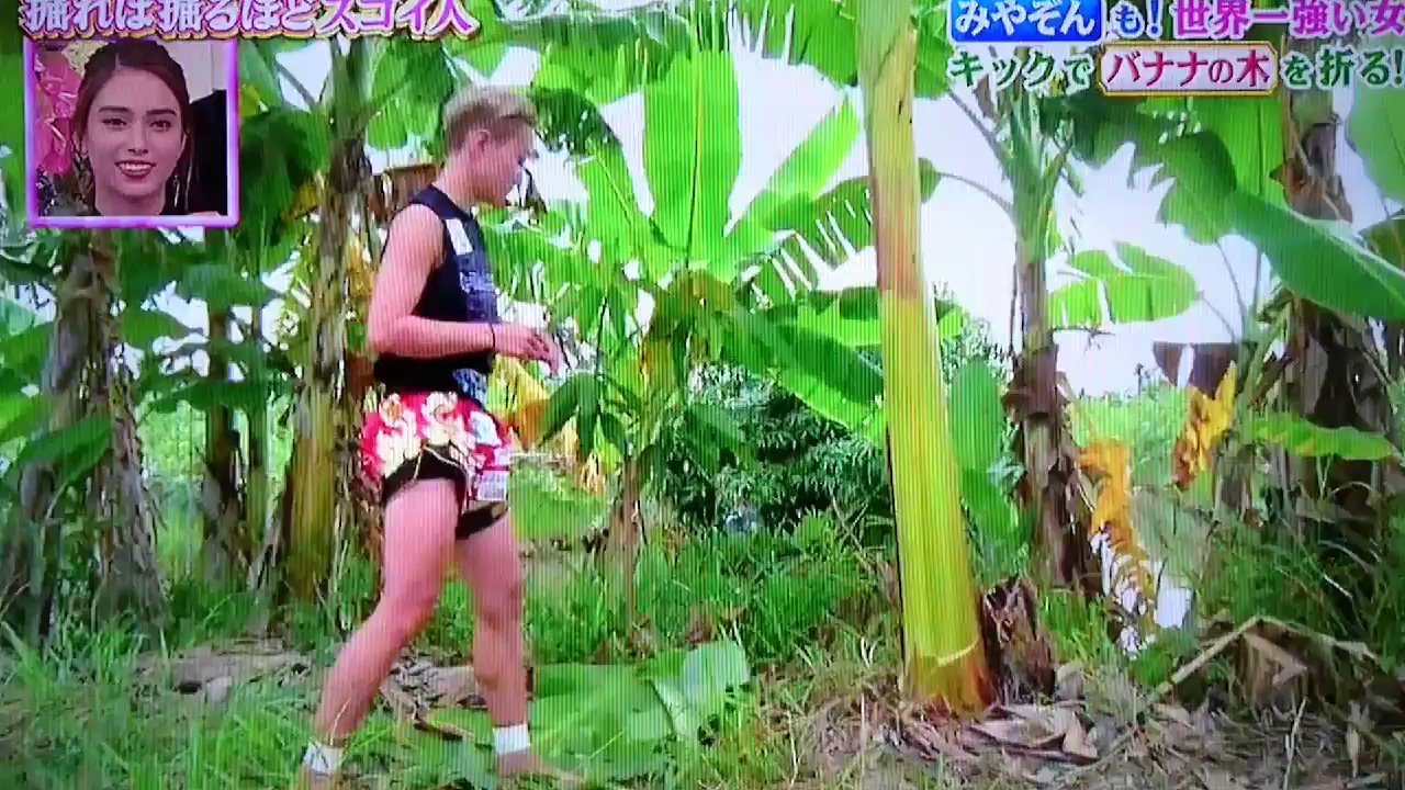 ちはる Littletiger 宮内彩香 掘れば掘るほどスゴイ人 バナナの木折り フフフ T Co 0rj4ipyyrc Twitter