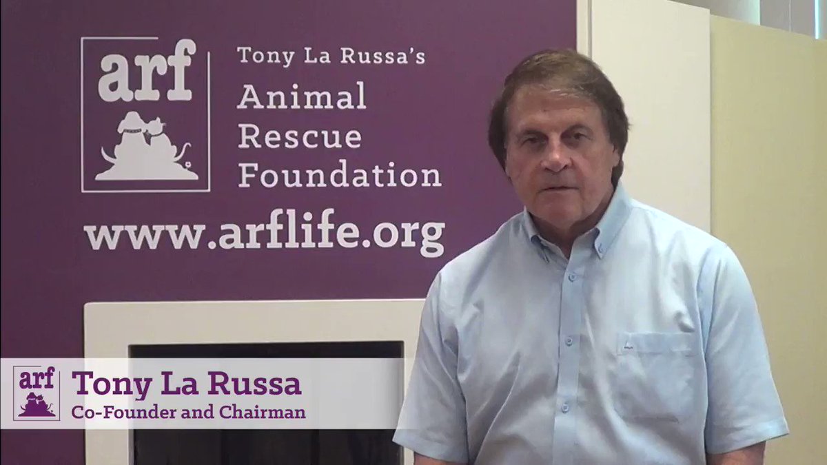 Arf On Twitter Here S An Update From Tonylarussa This Week Mission To Save Animals In The Path Of Hurricaneirma Https T Co Sqcptoyboc 9zitgiknyf Sqcptoyboc Https T Co 9zitgiknyf