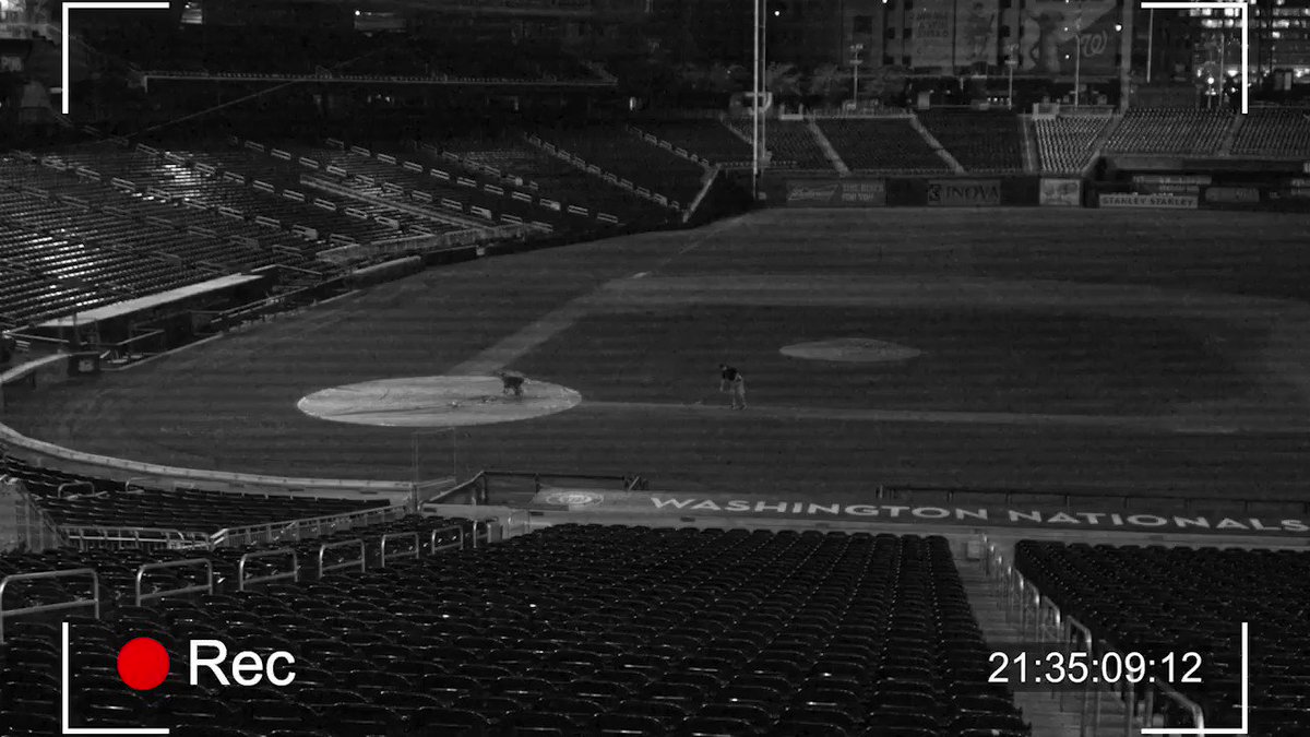 ⛔️🧟‍♀️ BEWARE: Security footage captured at #Nats Park last night. 🧟‍♂️⛔️ https://t.co/ShXCmbnCZ8