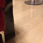 毎朝毎夜、猫が持ってきてくれるネズミのぬいぐるみが可愛すぎるw