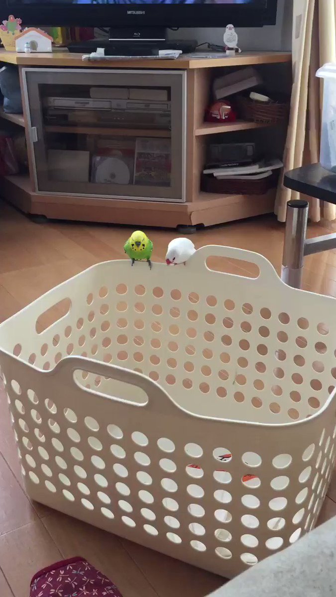今日も元気